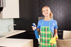 n1 domestic cleaner islington