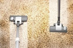 islington carpet cleaning n1