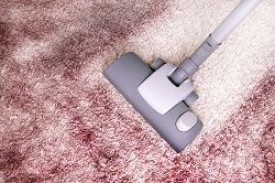 islington rug cleaning n1